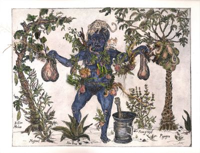 Candice Lin, Sycorax's Collections (Herbarium) (2012). Etching with watercolour and dried plants. 27.94 x 33.02 cm.