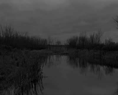 Dawoud Bey, Untitled #12 (The Marsh) (2017). From the series 'Night Coming Tenderly, Black'. Rennie Collection, Vancouver. © Dawoud Bey.