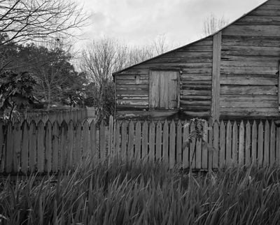 Dawoud Bey, Tall Grass, Fence, and Cabin (2019). Gelatin silver print. 124.5 x 152.4 x 5.1 cm. Edition of 6 + 2 APs.