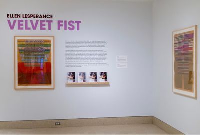 Exhibition view: Ellen Lesperance, Velvet Fist, Baltimore Museum of Art, Baltimore (26 January–20 September 2020).