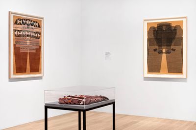 Exhibition view: Ellen Lesperance, Amazonknights, Institute of Contemporary Art, Miami (30 November 2021–27 March 2022).