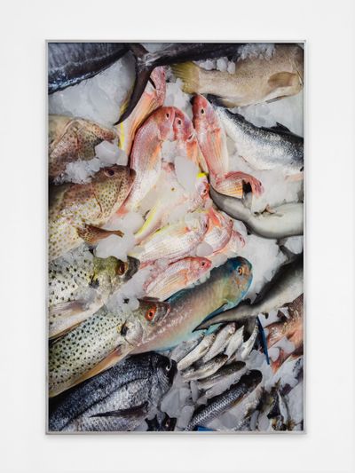 Farah Al Qasimi, Fish Market (2022). Archival inkjet print in aluminium artist's frame. Edition of 1 of 5, 2AP. 127 x 84 cm.