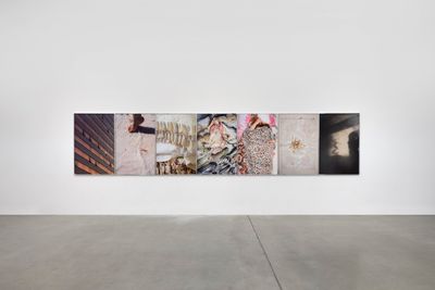 Exhibition view: Farah Al Qasimi, Surge, François Ghebaly, Los Angeles (14 May–18 June 2022).