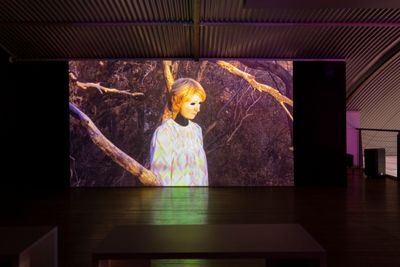 Shana Moulton, Whispering Pines 10 (2018). Exhibition view: Shana Moulton and Min Wong, Soul Seeker, Cement Fondu, Sydney (13 August–2 October 2022).