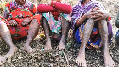 ArTree Nepal, Godna/Tika Chedna (tattoo). Peacock playing in the garden done in the Tharu tradition by women in the west and far west Nepal. Photographic research material, 2021.