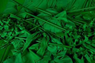 Stephanie Syjuco, Chromakey Aftermath 1 (Flags, Sticks, and Barriers) (2017). 60.96 x 91.44 cm. Archival pigment print, framed.