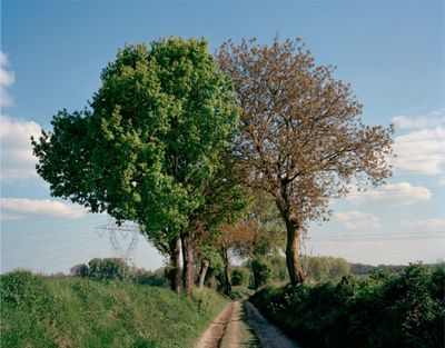 Tomoko Yoneda, Entwined—Trees in the middle of a former trench at the Battle of the Marne, from the series 'Dialogue with Albert Camus' (2017).