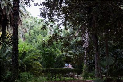 Tomoko Yoneda, Lovers—Botanical Garden of Hamma, Algiers, from the series 'Dialogue with Albert Camus' (2017).