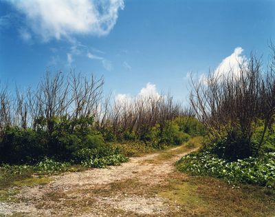 Tomoko Yoneda, Path—Path to the Cliff Where Japanese Committed Suicide After the American Landing of WWII, Saipan, from the series 'Scene' (2003).