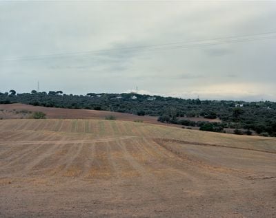 Tomoko Yoneda, Ridge—Viewing the location of 'Mosquito Crest', Battle of Brunete, Spain, from the series 'The Sleep of Apples' (2019).