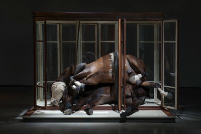 Berlinde De Bruyckere, No Life Lost II, 2015 (2015). Horse skin, wood, glass, fabric, leather, blankets, iron, and polyester. 237.5 x 342.9 x 188 cm. © Berlinde De Bruyckere.