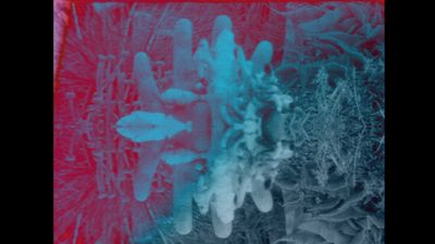 Gelare Khoshgozaran, To Keep the Mountain at Bay (2023) (still). Super 8 film transferred to video, sound, and colour. 9 min 30 sec.