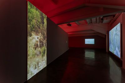 Hu Wei, The Rumbling (2023). Exhibition view: Touching A Fabric of Holes, Macalline Art Center, Beijing (21 May–3 September 2023).