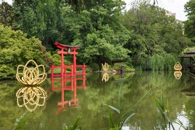 Jean-Michel Othoniel, 'Gold Lotus' series (c. 2018). Exhibition view: The Flowers of Hypnosis, Japanese Hill-and-Pond Garden, Brooklyn Botanic Garden, New York (18 July–22 October 2023). © Jean-Michel Othoniel/ADAGP, Paris, and ARS, New York 2023.