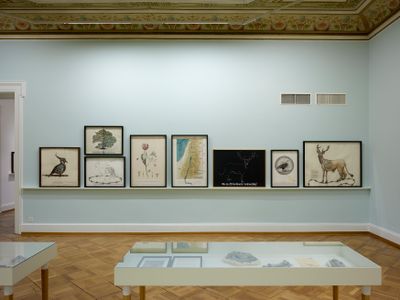 Reena Saini Kallat, Hyphenated Lives (2014–2022). Exhibition view: Deep Rivers Run Quiet, Kunstmuseum Thun, Switzerland (10 June–3 September 2023).