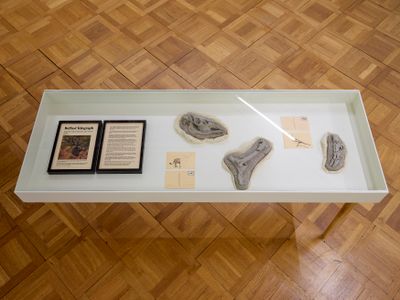 Reena Saini Kallat, Hyphenated Lives (2014–2022) (detail). Wooden vitrine, unfired clay, archival prints, and postcards. Exhibition view: Deep Rivers Run Quiet, Kunstmuseum Thun, Switzerland (10 June–3 September 2023).