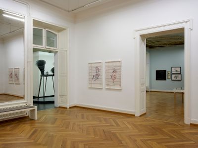 Exhibition view: Reena Saini Kallat, Deep Rivers Run Quiet, Kunstmuseum Thun, Switzerland (10 June–3 September 2023).