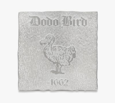 Rirkrit Tiravanija, untitled 2020 (nature morte: dodo bord, raphus cucullatus, 1662) (2023). CNC router cut aluminium sheet. 50 x 50 x 1.5 cm.