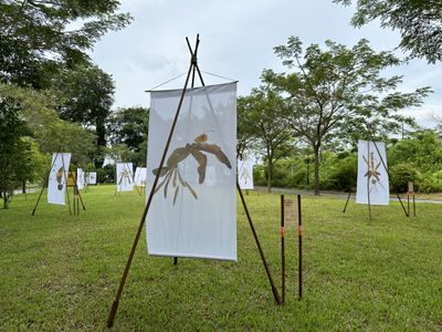 Exhibition view: Insect Inventorium, Bukit Gombak Park, Singapore (6–29 January 2023).