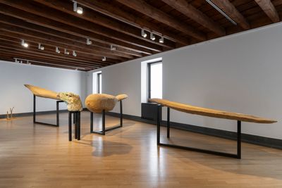 Ali Cherri, The Dismembered Bird (2023). Exhibition view: Dreamless Night, Galleria d'Arte Moderna e Contemporanea di Bergamo (GAMeC), Bergamo (8 October 2023–14 January 2024).