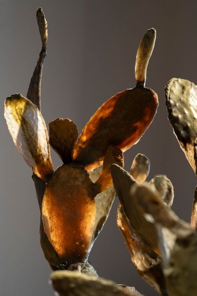 Ali Cherri, The Prickly Pear Garden (2023). Exhibition view: Dreamless Night, Galleria d'Arte Moderna e Contemporanea di Bergamo (GAMeC), Bergamo (8 October 2023–14 January 2024).