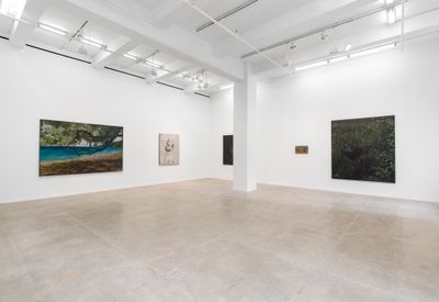 Exhibition view: Daniel Boyd, Dreamland, Marian Goodman Gallery, New York (12 January–24 February 2024).