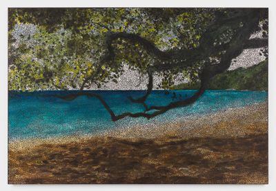 Daniel Boyd, Untitled (SPCFFATS) (2023). Oil, acrylic, and archival glue on canvas. 170 x 250 cm.