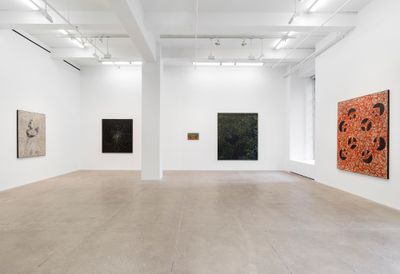 Exhibition view: Daniel Boyd, Dreamland, Marian Goodman Gallery, New York (12 January–24 February 2024).