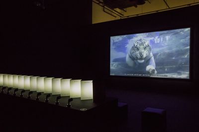 Ho Tzu Nyen, 'CDOSEA' (2017–ongoing). Video (single-channel projection, 16:9, colour, five-channel sound, infinite duration), mini PC, algorithmic editing system, LED lights. Exhibition view: Time & the Tiger, Singapore Art Museum (24 November 2023–3 March 2024).