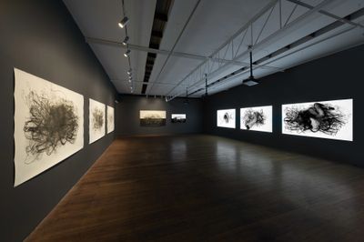 Exhibition view: Julie Rrap, The Dust of History, Roslyn Oxley9 Gallery, Sydney (21 October–12 November 2022).