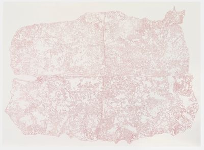 Pio Abad, I am singing a song that can only be borne after losing a country (2023). Red coloured pencil and carbon transfer on heritage woodfree paper. 2400 x 1750 mm.