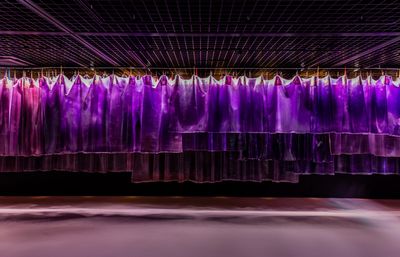 Liesl Raff, Club Liaison (2024). Exhibition view: Austrian Pavilion at the 15th Gwangju Biennale, LEEKANGHA Art Museum, Gwangju (2024).