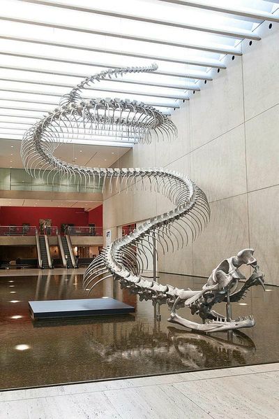 Huang Yong Ping, Ressort (2012). Installation, Aluminium, stainless steel. Commissioned 2012 with funds from Tim Fairfax AM through the Queensland Art Gallery Foundation.