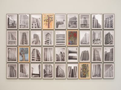 Gauri Gill and Vinnie Gill, Buildings and Trees (undated). Archival pigment prints (photographs), pastel, and watercolour on rough paper. Dimensions variable. Exhibition view: Sheher, Prakriti, Devi, Ishara Art Foundation, Dubai (19 January–1 June 2024).