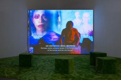 Natasha Tontey, Of other tomorrows never known (2023). Mixed-media installation. 15 min, 55 sec. Co-produced with the support of Human Machine Fellowship of Akademie der Kunste (2021–23). Exhibition view: Green Snake: women-centred ecologies, Tai Kwun Contemporary, Hong Kong (20 December 2023–1 April 2024).