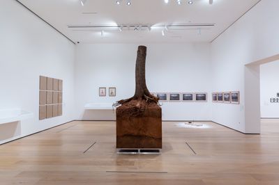 Exhibition view: Only the Young: Experimental Art in Korea, 1960s–1970s, Hammer Museum, Los Angeles (11 February–12 May 2024). Photo: Ashley Kruythoff.