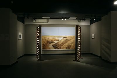 Atul Bhalla, Under The Brown Fog of Any Day (2024). Exhibition view: Reimagining The Waste Land, Art Heritage, New Delhi (20 January–29 February 2024).
