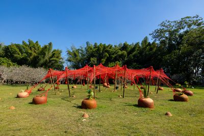 Ernesto Neto, Chantdance (2023). Exhibition view: Thailand Biennale, Chiang Rai 2023: The Open World, Mae Fah Luan Art & Cultural Park (9 December 2023–30 April 2024).