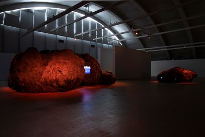 Diana Policarpo, Ciguatera (2022). Exhibition view: Helsinki Biennial 2023 (11 June–17 September 2023).