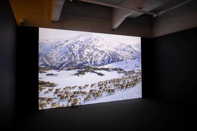 INTERPRT, Colonial Present Counter-mapping the Truth and Reconciliation Commissions in Sápmi (2023). Exhibition view: Helsinki Biennial 2023 (11 June–17 September 2023).