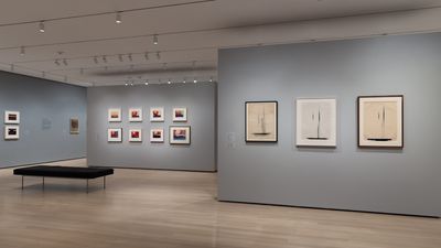 Exhibition view: Georgia O'Keeffe, To See Takes Time, The Museum of Modern Art, New York (9 April–12 August 2023). Photo: Jonathan Dorado.