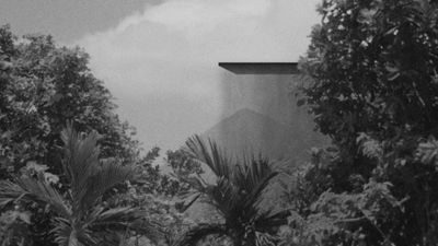 Laurent Grasso, Orchid Island (2023) (still). HR film, 19 min, 14 sec. © Laurent Grasso / ADAGP, Paris 2023.