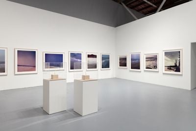 Paul Pfeiffer, 24 Landscapes (2000–2008). Exhibition view: Prologue to the Story of the Birth of Freedom, The Geffen Contemporary at MOCA, Los Angeles (12 November 2023–16 June 2024).
