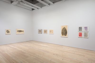Exhibition view: Ruth Asawa, Through Line, Whitney Museum of American Art, New York (16 September 2023–15 January 2024).