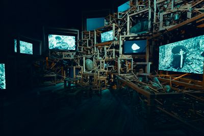 Robert Zhao Renhui, Trash Stratum (2024) (detail). Exhibition view: Seeing Forest at the Singapore Pavilion at Biennale Arte 2024.