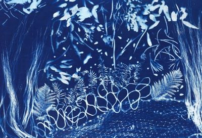 Elisa Jane Carmichael, Before the Gardens 1 (2022). Cyanotype on cotton. 152 x 215 cm.