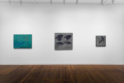 Exhibition view: Daniel Boyd, Tacit Testudo, Roslyn Oxley9 Gallery, Sydney (18 November–17 December 2022).