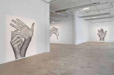 Exhibition view: Karl Haendel, Double Dominant, Vielmetter Los Angeles (25 January–7 March 2020).