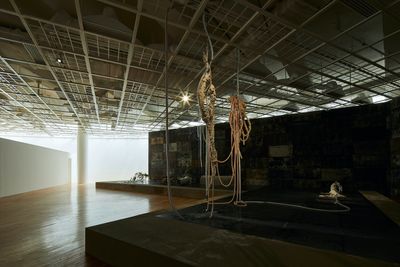 Exhibition view: Mire Lee, Carriers, Art Sonje Center, Seoul (23 July–13 September 2020).