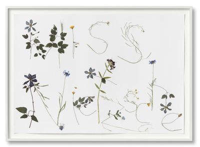 Heike-Karin Föll, Miss Nietzsche (2014). Pressed flowers and stems on paper. 78 x 108.5 cm.